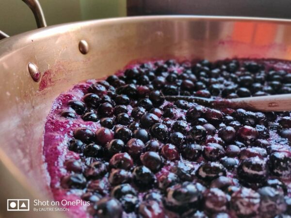 Confiture Extra de Myrtilles – Image 2
