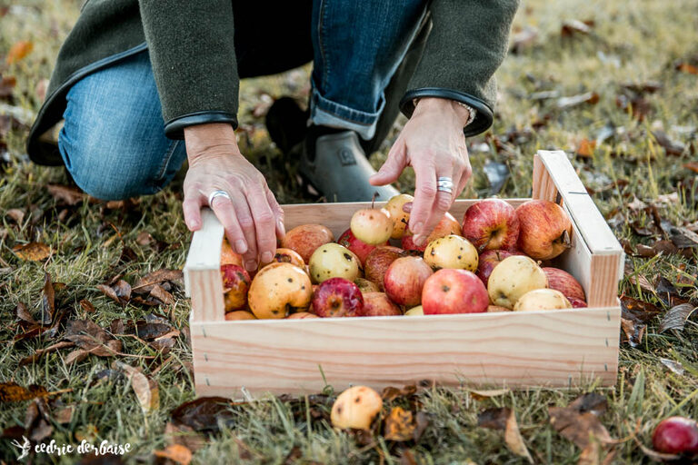 Les fruits d'automne sont irrésistibles ! Apprenez à les choisir avec L'Autre Saison, atelier de confitures artisanales 100% naturelles...